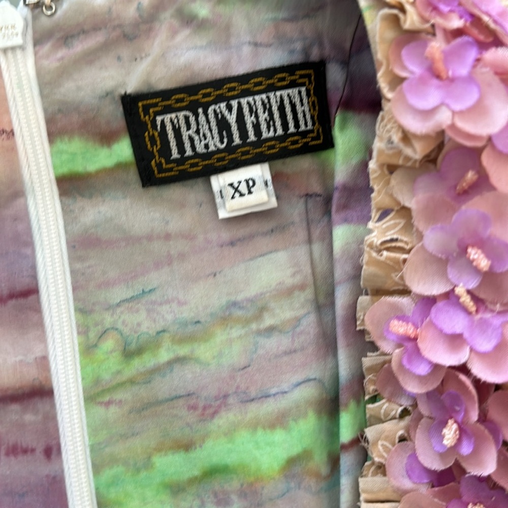 Tracy Feith XP DRESS STUNNING - Picture 6 of 7
